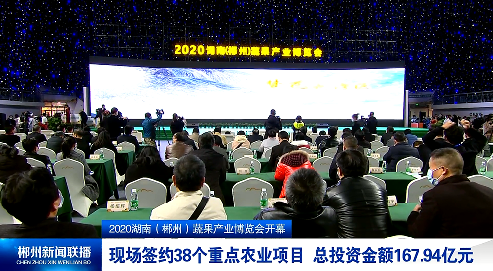 2020湖南（郴州）蔬果产业博览会开幕：现场签约38个重点农业项目 总投资金额167.94亿元