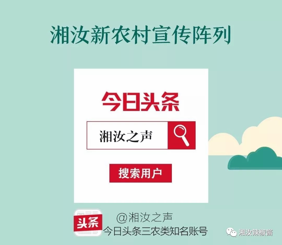 “湘汝之声”系列报道：选择湘汝十大理由