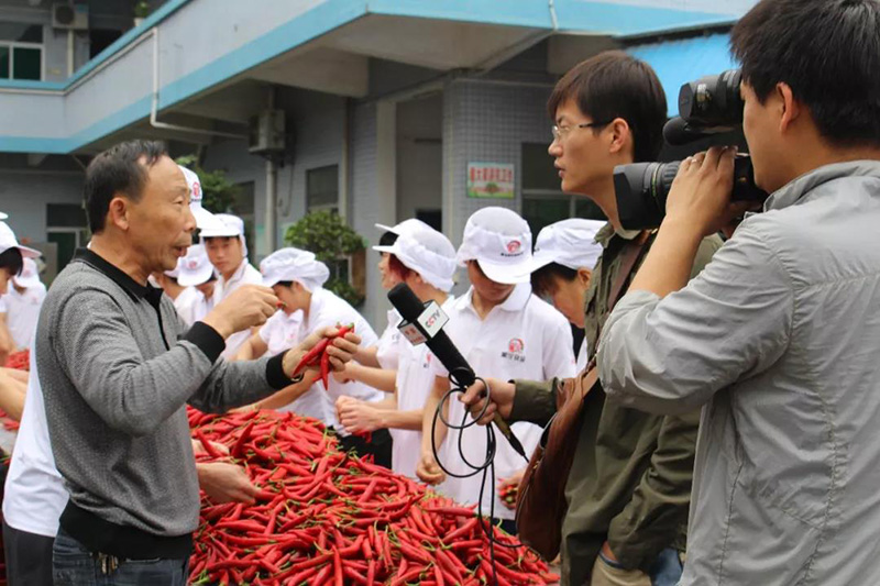 浅析我司辣椒产业的发展模式及行业思考
