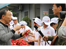 不务正业的儿子带来意外财富