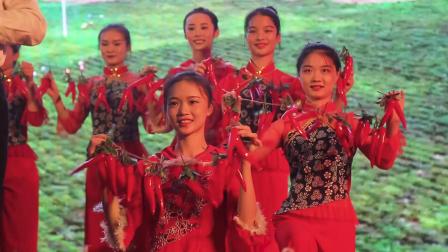 深圳推介会长视频